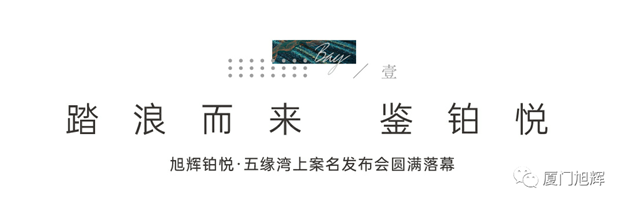 踏浪而来 鉴铂悦 | 旭辉铂悦·五缘湾上案名发布会圆满落幕——九房网