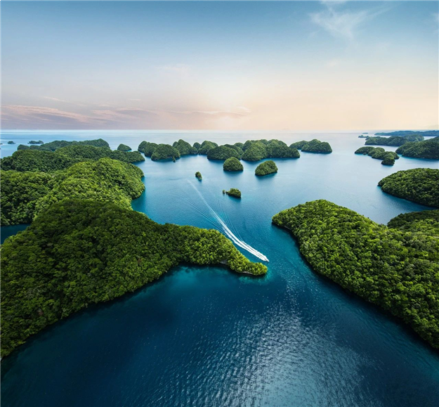 这里推窗即可瞰海，悦享6300亩红树林鲜氧生活——九房网