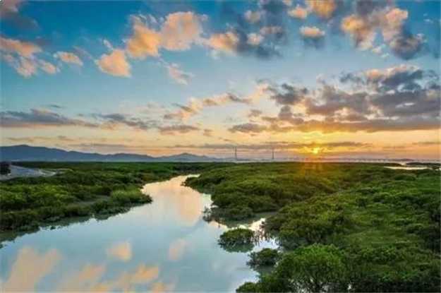 这里推窗即可瞰海，悦享6300亩红树林鲜氧生活——九房网