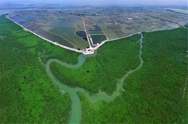 这里推窗即可瞰海，悦享6300亩红树林鲜氧生活——九房网