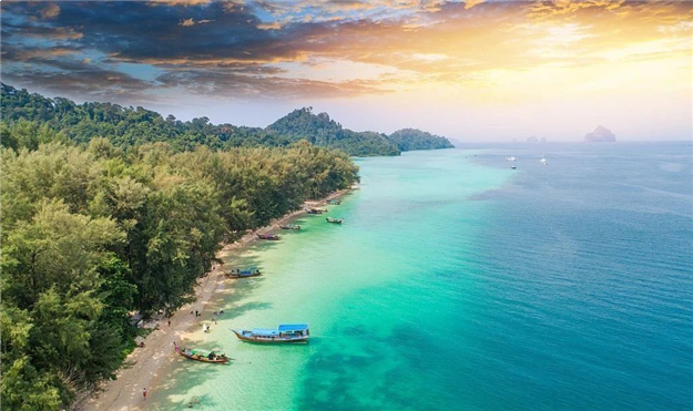 这里推窗即可瞰海，悦享6300亩红树林鲜氧生活——九房网