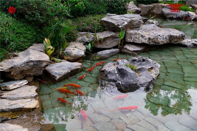 不负久候，惊艳全城！【风华雅居】销售中心耀世开放——九房网