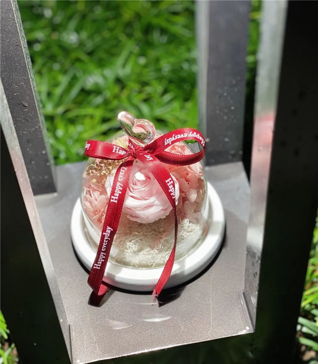 春归计划 | 优雅盛启岛心奢定四重礼奏！——九房网