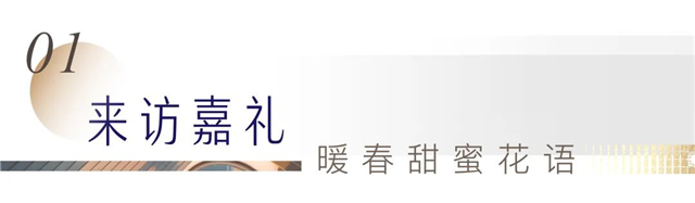 春归计划 | 优雅盛启岛心奢定四重礼奏！——九房网