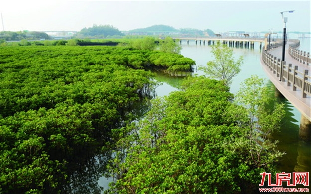 厦门国际邮轮母港二期航站楼封顶！预计2022年4月竣工验收！——九房网