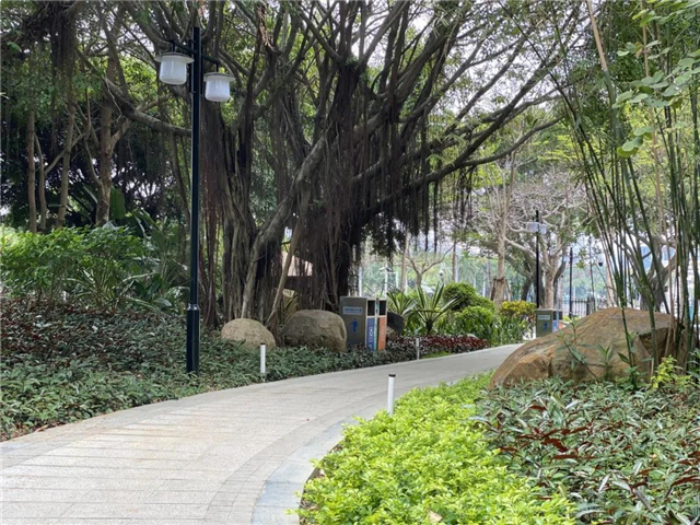 你家的“后花园”开放啦！筼筜湖畔多了两个口袋公园！快去逛逛~——九房网