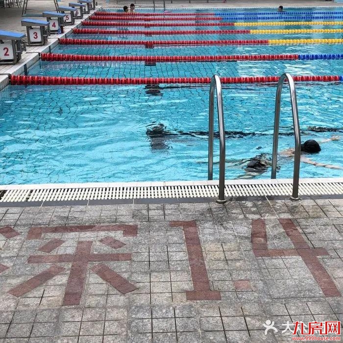 全省首座智慧化游泳馆“上线”——九房网