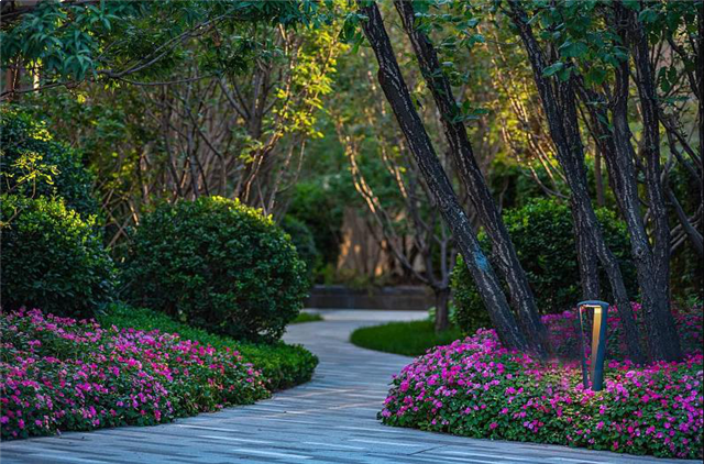 首开龙湖璟宸府|一树一世界 一石一千秋——九房网