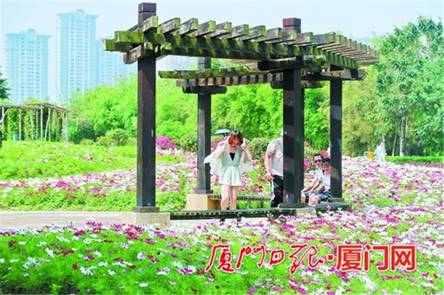 厦门房产,厦门房地产,厦门新房,九房网,厦门房产