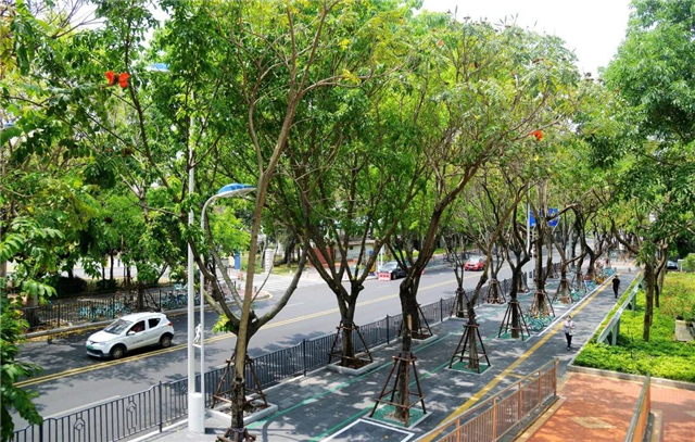 总投20亿！岛内又一名校正式落地！正向全球招募精英！——九房网