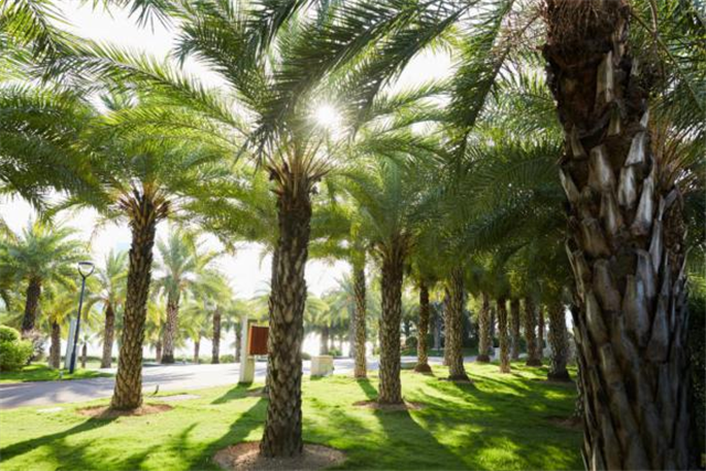 2022年建成!集美新城再添一国际级配套——九房网 2022年建成!集美新城再添一国际级配套——九房网