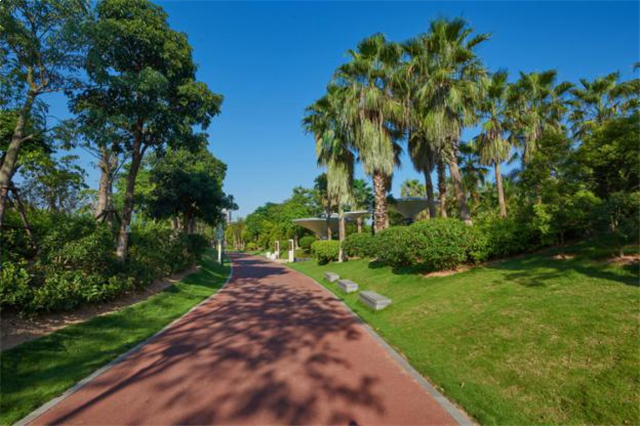 2022年建成!集美新城再添一国际级配套——九房网 2022年建成!集美新城再添一国际级配套——九房网