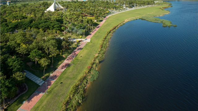 世界见证！鹭岛按下快进键，国际化宜居大城再腾飞——九房网