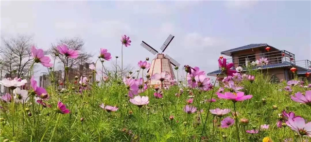 耀启人居新时代！奥园海伦堡·悦鹭云著厦门SM城市展厅璀璨绽放！——九房网