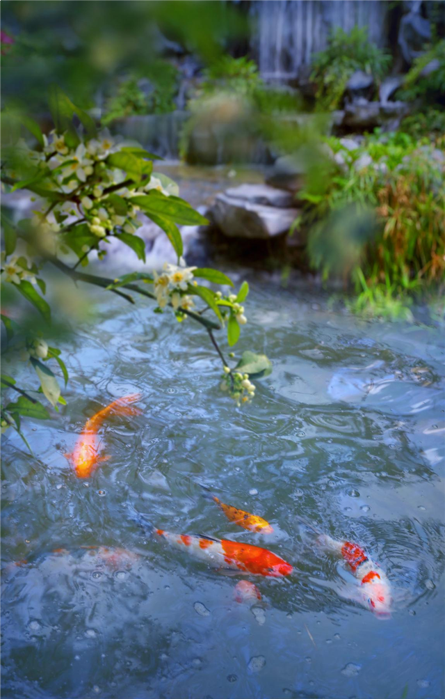 景粼洋房|匠造精致生活致献名仕——九房网