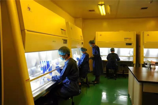 又一国内一流项目落定厦门！选址在……——九房网