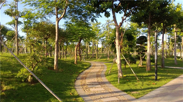 首开龙湖·璟宸府｜翔安多座公园进行改造提升，遇见万般美好——九房网