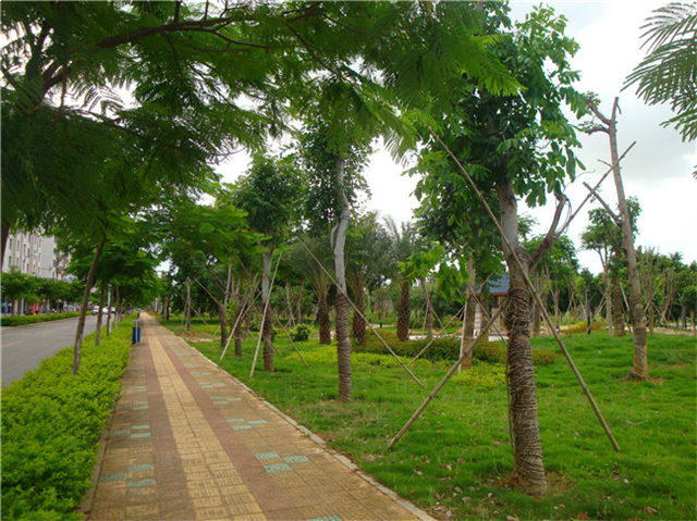 首开龙湖·璟宸府｜翔安多座公园进行改造提升，遇见万般美好——九房网