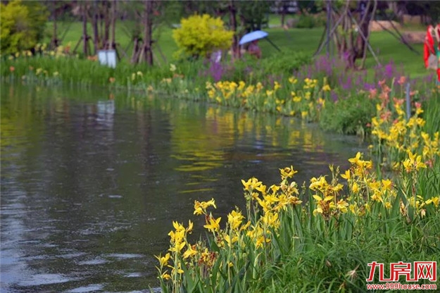 刚刚！晋安湖公园（一期）惊艳亮相！一大波美图出炉——九房网