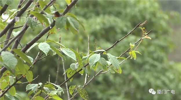 厦门房产,厦门房地产,厦门新房,九房网,厦门房产