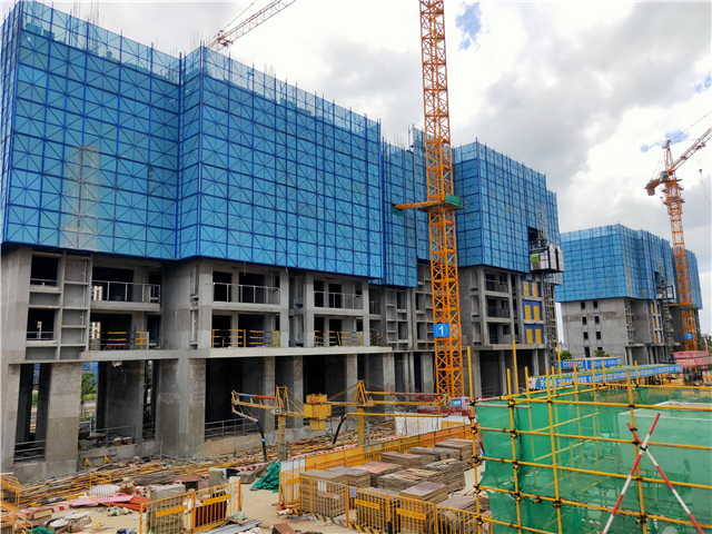 重磅！岛内这所学校，有望成为市属九年一贯制学校！——九房网