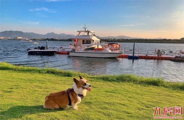 降个税!房贷利率下调!楼市回暖冲上热搜!福州有房立涨130万!——九房网 降个税!房贷利率下调!楼市回暖冲上热搜!福州有房立涨130万!——九房网