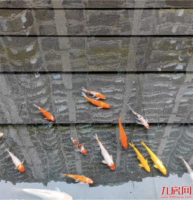 厦门,唯一一个被妖魔化的顶级豪宅 | 中篇——九房网 厦门,唯一一个被妖魔化的顶级豪宅 | 中篇——九房网