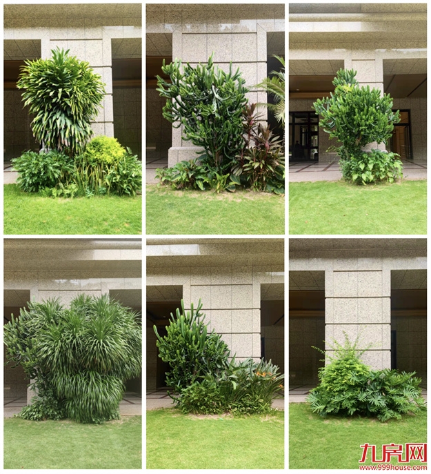 厦门,唯一一个被妖魔化的顶级豪宅 | 中篇——九房网 厦门,唯一一个被妖魔化的顶级豪宅 | 中篇——九房网