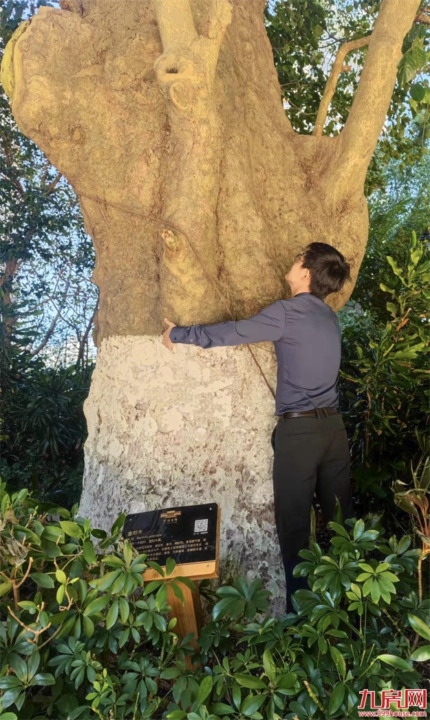 厦门,唯一一个被妖魔化的顶级豪宅 | 中篇——九房网 厦门,唯一一个被妖魔化的顶级豪宅 | 中篇——九房网