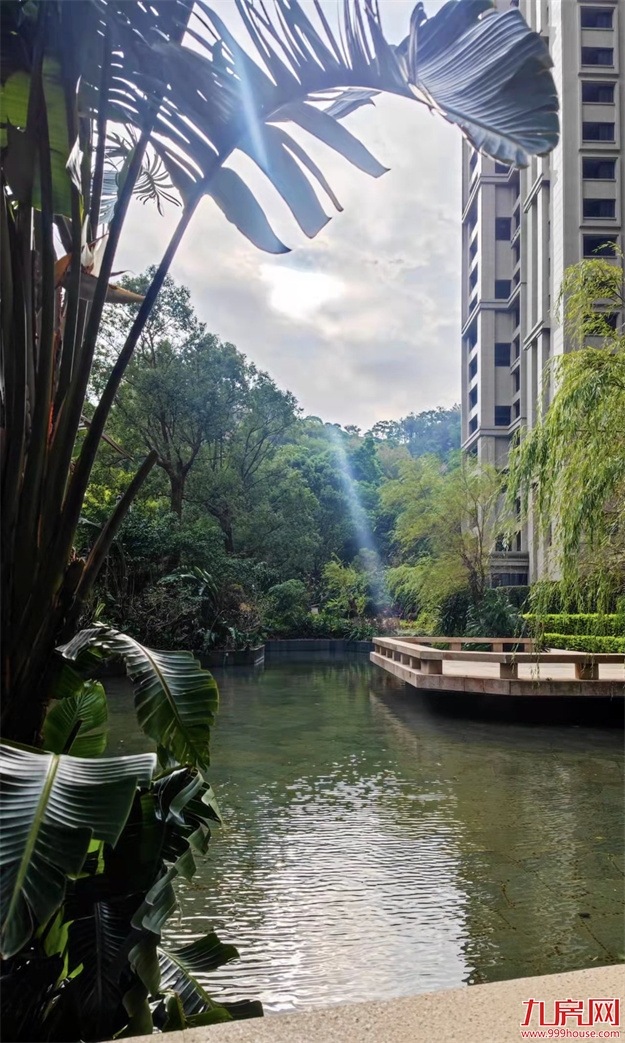 厦门,唯一一个被妖魔化的顶级豪宅 | 中篇——九房网 厦门,唯一一个被妖魔化的顶级豪宅 | 中篇——九房网