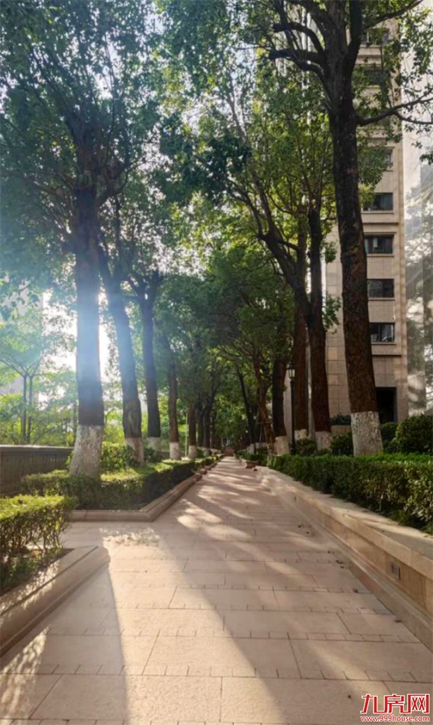 厦门,唯一一个被妖魔化的顶级豪宅 | 中篇——九房网 厦门,唯一一个被妖魔化的顶级豪宅 | 中篇——九房网