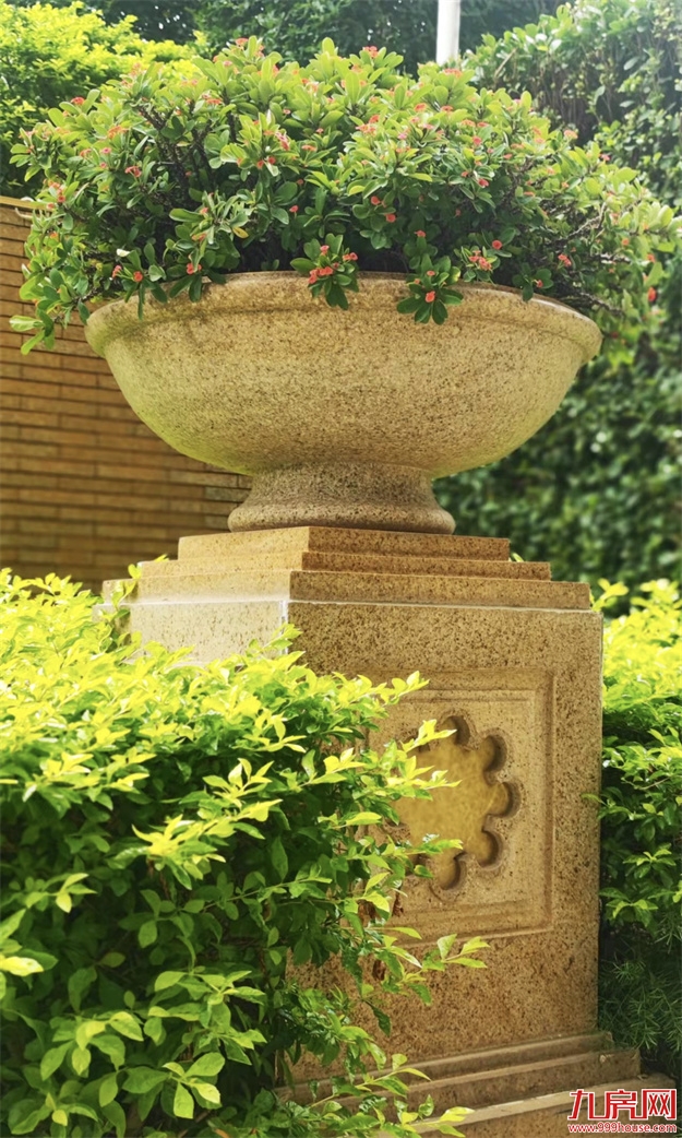 厦门,唯一一个被妖魔化的顶级豪宅 | 中篇——九房网 厦门,唯一一个被妖魔化的顶级豪宅 | 中篇——九房网