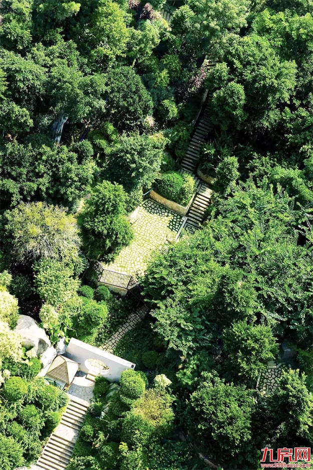 厦门,唯一一个被妖魔化的顶级豪宅 | 中篇——九房网 厦门,唯一一个被妖魔化的顶级豪宅 | 中篇——九房网