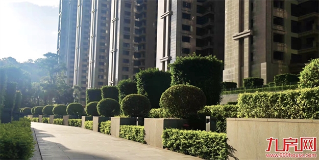 厦门,唯一一个被妖魔化的顶级豪宅 | 中篇——九房网 厦门,唯一一个被妖魔化的顶级豪宅 | 中篇——九房网