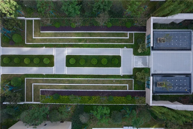 100张照片,记录世茂与你走过的2021——九房网 100张照片,记录世茂与你走过的2021——九房网