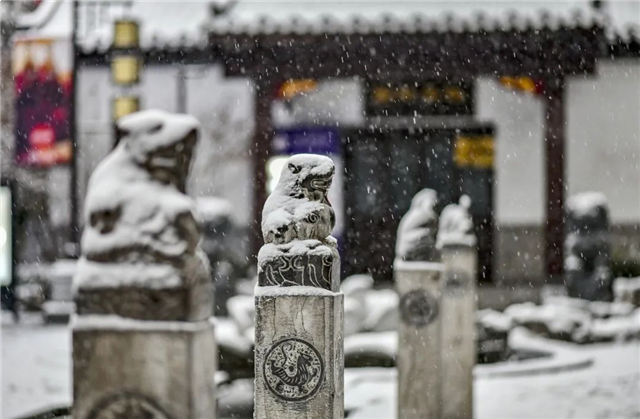 100张照片,记录世茂与你走过的2021——九房网 100张照片,记录世茂与你走过的2021——九房网