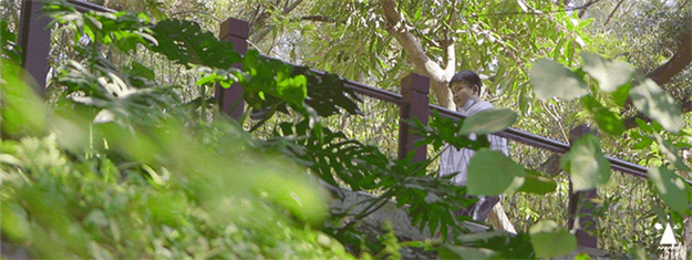 厦门房产,厦门房地产,厦门新房,九房网,厦门房产 厦门房产,厦门房地产,厦门新房,九房网,厦门房产