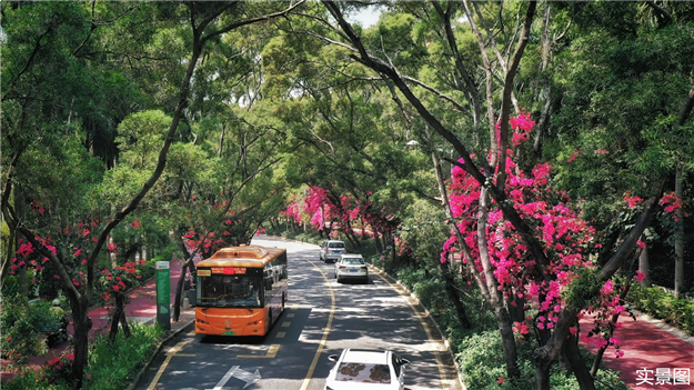 厦门房产,厦门房地产,厦门新房,九房网,厦门房产 厦门房产,厦门房地产,厦门新房,九房网,厦门房产