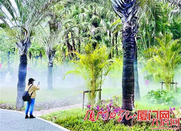 厦门房产,厦门房地产,厦门新房,九房网,厦门房产