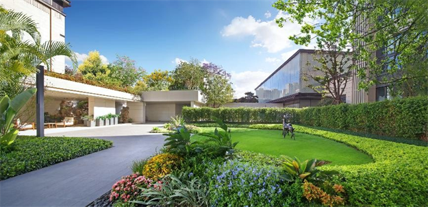 一颗离家出走的树——九房网