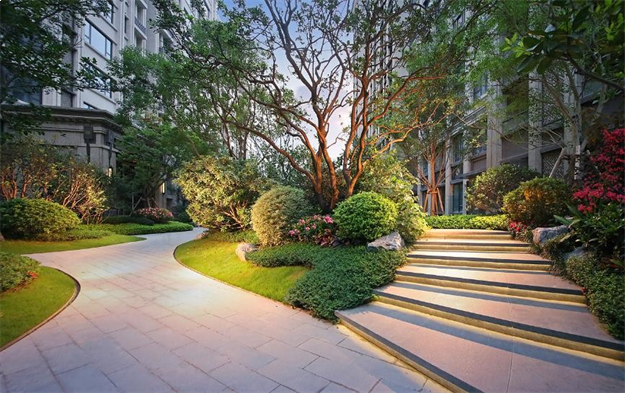 一颗离家出走的树——九房网