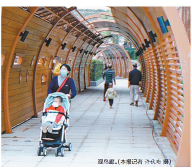 筼筜湖内湖侧改造完工！潮汐广场和观鸟廊对外开放！——九房网