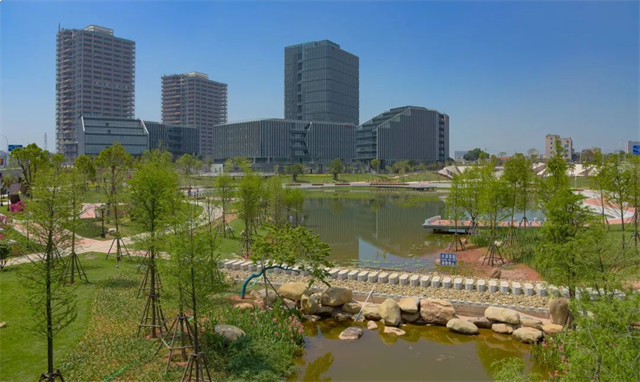 33万㎡！大规模拆除！马銮湾西滨片区迎来大升级！——九房网