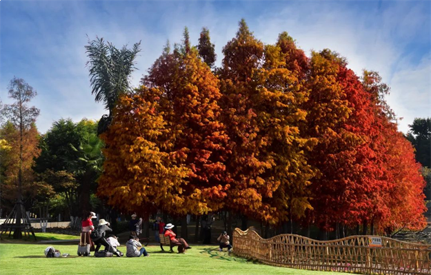 “大悦集美心”摄影大赛,投票启动!——九房网 “大悦集美心”摄影大赛,投票启动!——九房网