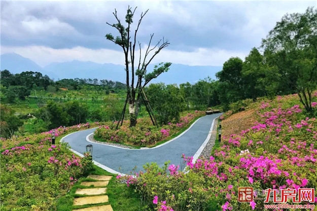 全球公开招标！福州要建国际一流植物园！——九房网