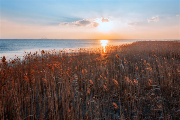 这份《36小时撒野计划·剧透报告》，解了多少人的“旅行瘾”！——九房网
