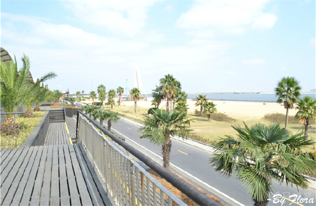 这份《36小时撒野计划·剧透报告》，解了多少人的“旅行瘾”！——九房网