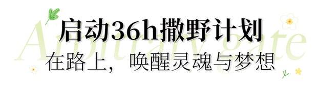 这份《36小时撒野计划·剧透报告》，解了多少人的“旅行瘾”！——九房网
