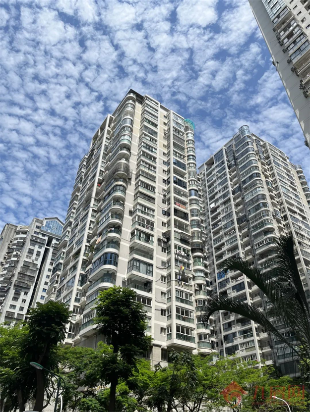 实探！房价连跌3个月！有房降6千/㎡！岛内这片区不香了？——九房网