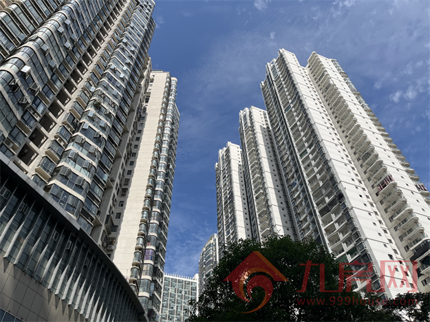 实探！房价连跌3个月！有房降6千/㎡！岛内这片区不香了？——九房网